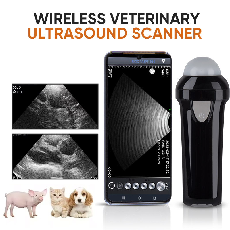 Pemindai Ultrasound Hewan Port - Portable Ultrasound Machine ulasan dan harga